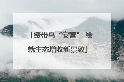 绶带鸟“安营” 绘就生态增收新景致