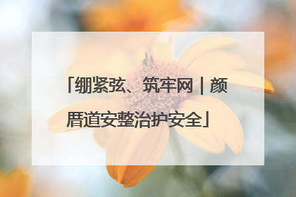 绷紧弦、筑牢网｜颜厝道安整治护安全