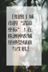 组图丨城市的“清凉坐标”！在株洲神农城里感受绿意与生机