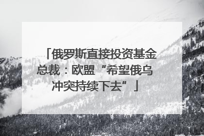 俄罗斯直接投资基金总裁：欧盟“希望俄乌冲突持续下去”