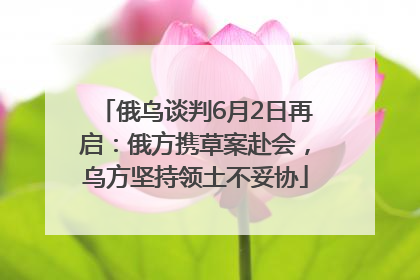 俄乌谈判6月2日再启：俄方携草案赴会，乌方坚持领土不妥协