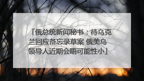 俄总统新闻秘书：待乌克兰回应备忘录草案 俄美乌领导人近期会晤可能性小
