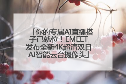 你的专属AI直播搭子已就位！EMEET发布全新4K超清双目AI智能云台摄像头