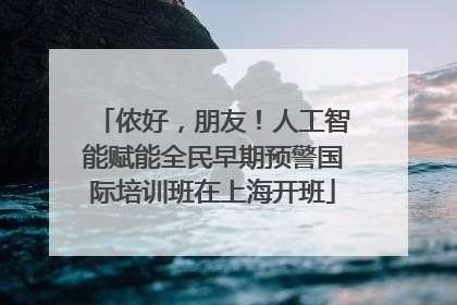 侬好，朋友！人工智能赋能全民早期预警国际培训班在上海开班