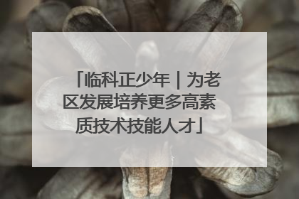 临科正少年｜为老区发展培养更多高素质技术技能人才