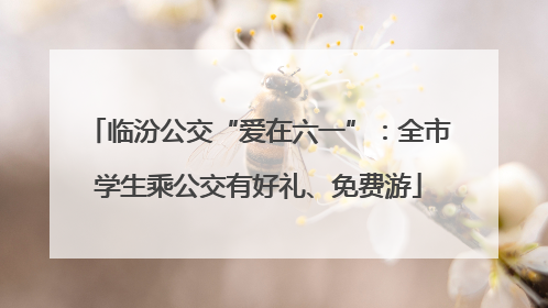 临汾公交“爱在六一”：全市学生乘公交有好礼、免费游