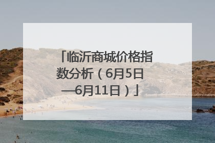 临沂商城价格指数分析（6月5日—6月11日）