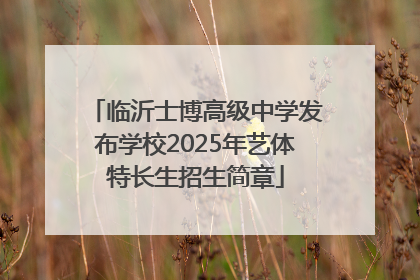 临沂士博高级中学发布学校2025年艺体特长生招生简章