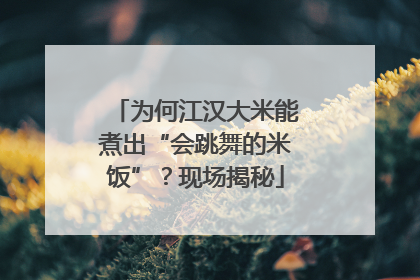 为何江汉大米能煮出“会跳舞的米饭”？现场揭秘