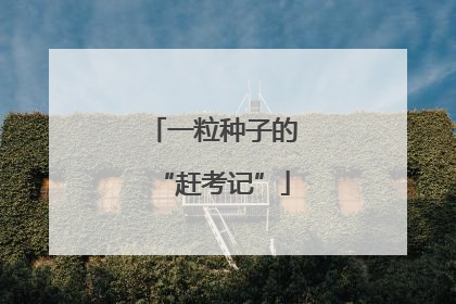 一粒种子的“赶考记”