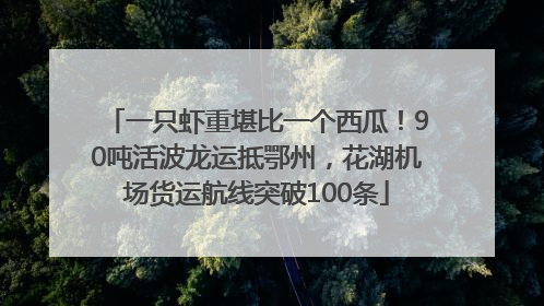 一只虾重堪比一个西瓜！90吨活波龙运抵鄂州，花湖机场货运航线突破100条