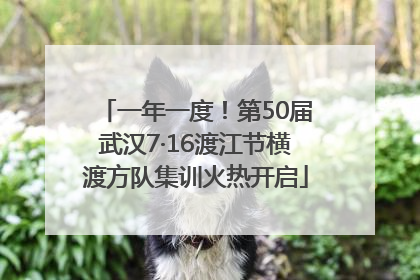 一年一度！第50届武汉7·16渡江节横渡方队集训火热开启
