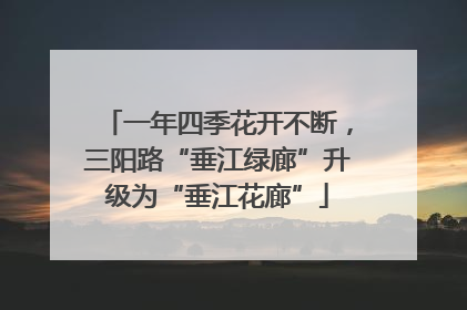 一年四季花开不断，三阳路“垂江绿廊”升级为“垂江花廊”