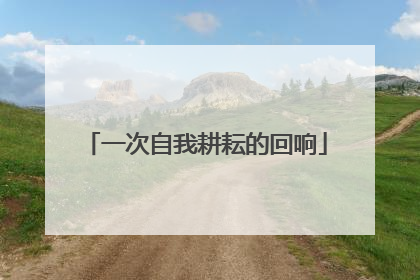 一次自我耕耘的回响