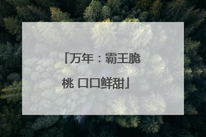 万年：霸王脆桃 口口鲜甜