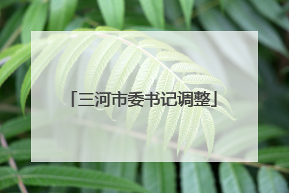 三河市委书记调整