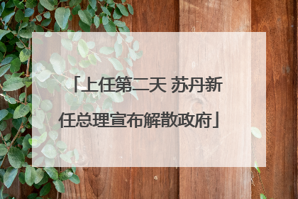 上任第二天 苏丹新任总理宣布解散政府