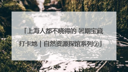 上海人都不晓得的 暑期宝藏打卡地｜自然资源探馆系列②
