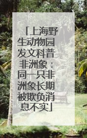 上海野生动物园发文科普非洲象：同一只非洲象长期被欺负消息不实