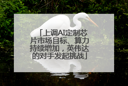 上调AI定制芯片市场目标、算力持续增加，英伟达的对手发起挑战