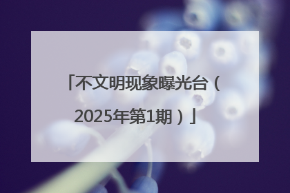 不文明现象曝光台（2025年第1期）