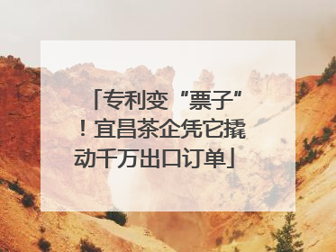 专利变“票子”！宜昌茶企凭它撬动千万出口订单