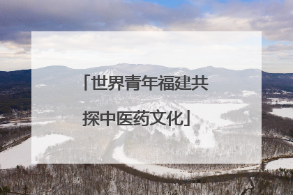 世界青年福建共探中医药文化