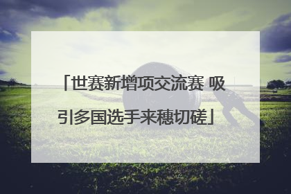 世赛新增项交流赛 吸引多国选手来穗切磋