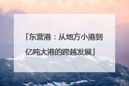 东营港：从地方小港到亿吨大港的跨越发展