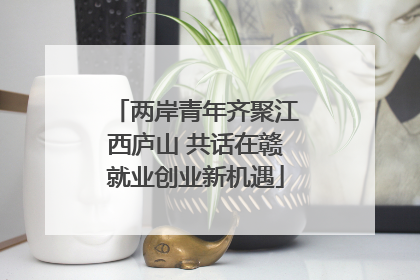 两岸青年齐聚江西庐山 共话在赣就业创业新机遇