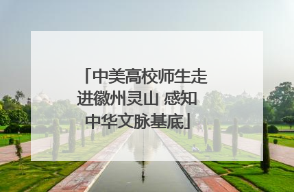 中美高校师生走进徽州灵山 感知中华文脉基底