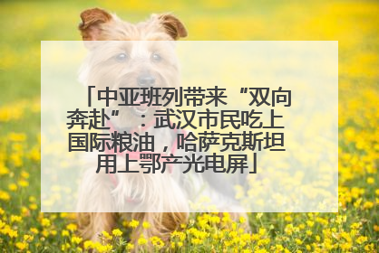 中亚班列带来“双向奔赴”：武汉市民吃上国际粮油，哈萨克斯坦用上鄂产光电屏