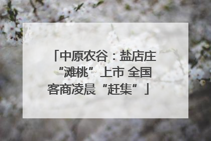 中原农谷：盐店庄“滩桃”上市 全国客商凌晨“赶集”