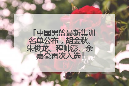 中国男篮最新集训名单公布，胡金秋、朱俊龙、程帅澎、余嘉豪再次入选