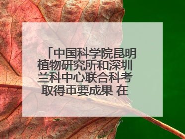 中国科学院昆明植物研究所和深圳兰科中心联合科考取得重要成果 在神农架发现两种“国保”级兰花