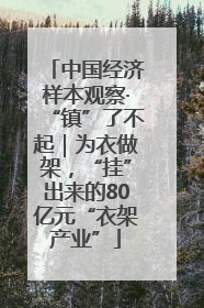 中国经济样本观察·“镇”了不起｜为衣做架，“挂”出来的80亿元“衣架产业”