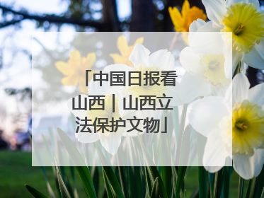 中国日报看山西｜山西立法保护文物