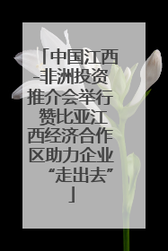 中国江西-非洲投资推介会举行 赞比亚江西经济合作区助力企业“走出去”