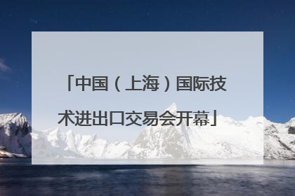 中国（上海）国际技术进出口交易会开幕