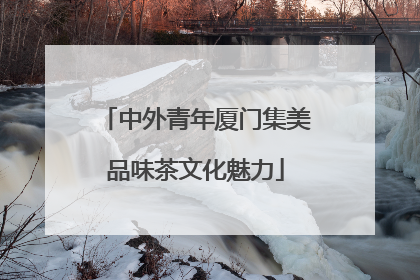 中外青年厦门集美品味茶文化魅力