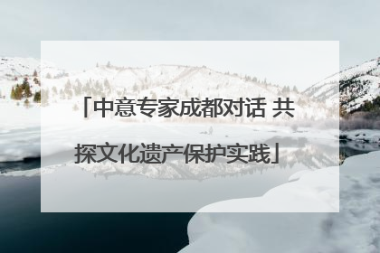 中意专家成都对话 共探文化遗产保护实践
