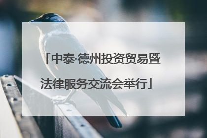 中泰·德州投资贸易暨法律服务交流会举行