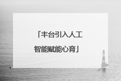 丰台引入人工智能赋能心育