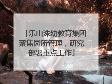 乐山洙幼教育集团聚焦园所管理，研究部署重点工作