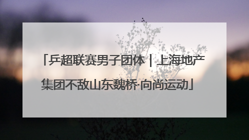 乒超联赛男子团体｜上海地产集团不敌山东魏桥·向尚运动