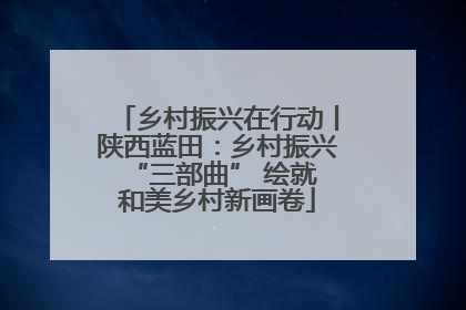 乡村振兴在行动丨陕西蓝田：乡村振兴 “三部曲” 绘就和美乡村新画卷