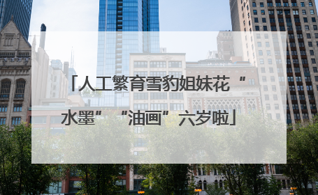 人工繁育雪豹姐妹花“水墨”“油画”六岁啦