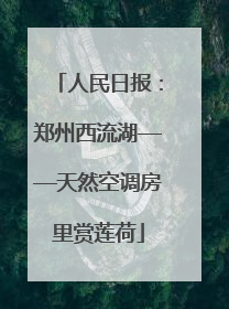 人民日报：郑州西流湖——天然空调房里赏莲荷