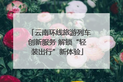 云南环线旅游列车创新服务 解锁“轻装出行”新体验