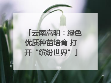 云南嵩明：绿色优质种苗培育 打开“缤纷世界”